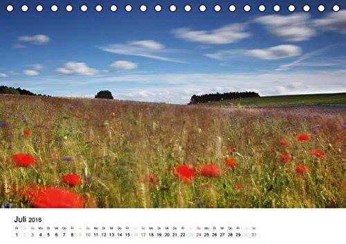 Kalender Usedomfotos 2016 - Mohnfeld bei Pudagla