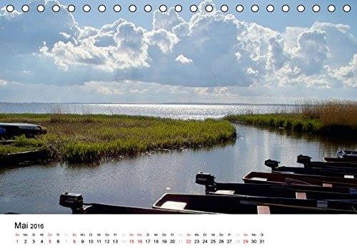 Kalender Usedomfotos 2016 - Ruderboote am Loddiner Achterwasser